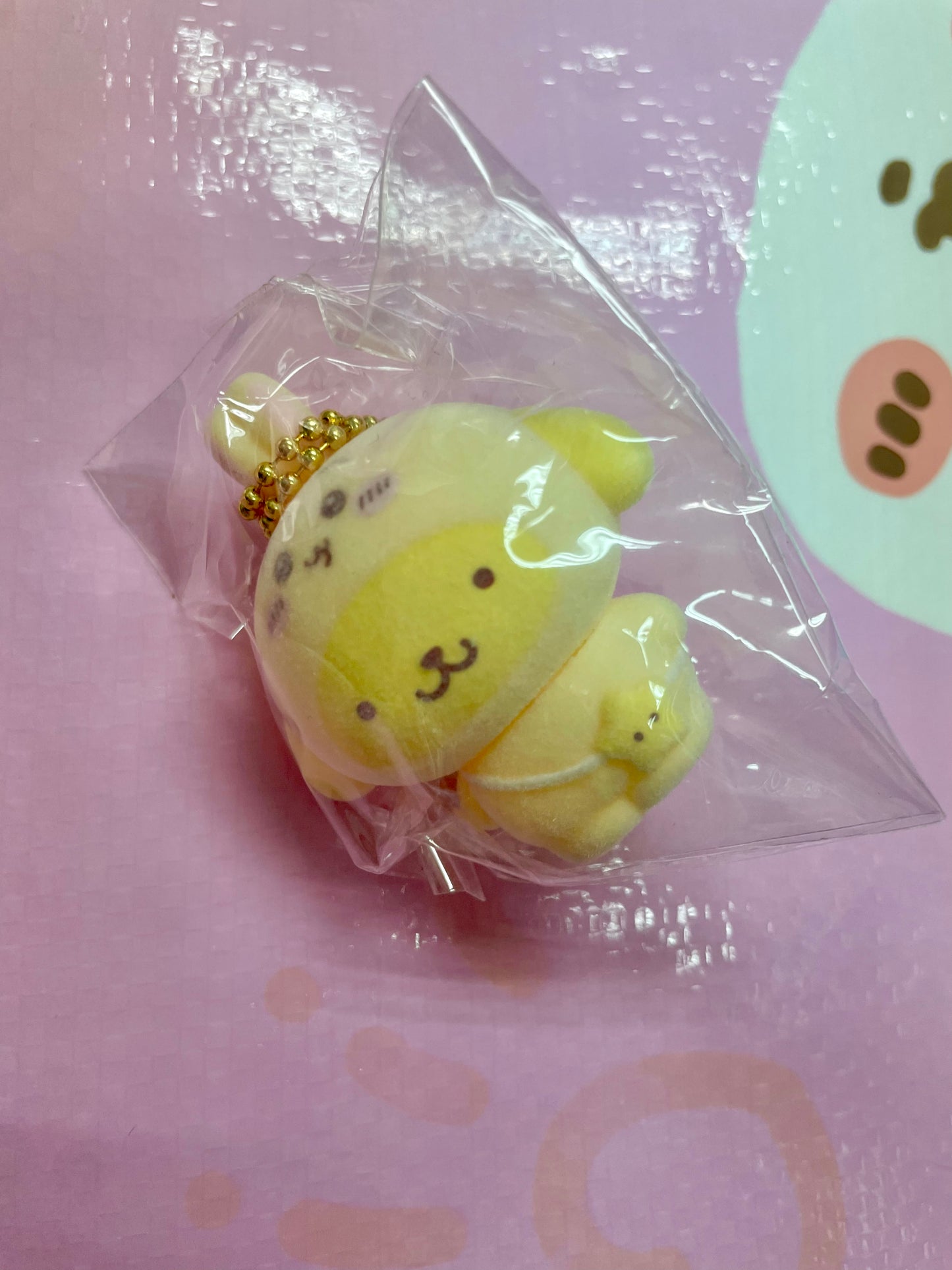 Sanrio x 小可愛 布甸狗兔兔